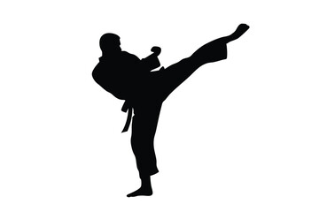 Silhouette shows martial artist powerfully executing a side kick while wearing traditional garb