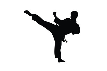 Silhouette shows a martial artist kicking with power while wearing a traditional uniform