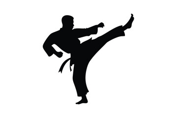 Silhouette reveals athletic fighter in karate suit delivering a high kick forcefully