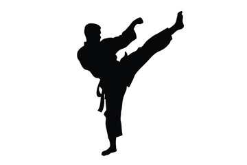 Silhouette of a martial artist delivers a precise kick, showcasing strength and balance in motion