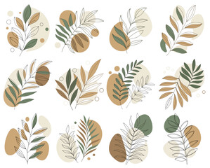 Autumn botanical leaf illustrations in earthy brown and green tones, minimal vector set isolated on transparent background