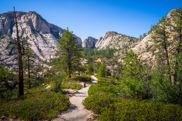 hiking in zion national park in utah, usa