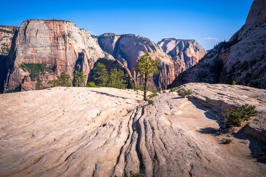 hiking in zion national park in utah, usa