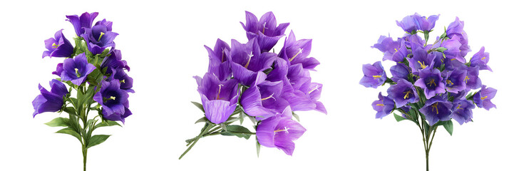 Set of Fresh blooming purple bellflowers with delicate petals on transparent png background. Ai generated