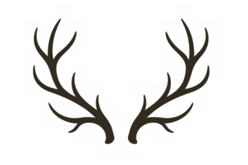 Deer antlers vector graphic. Representing wildlife, hunting season, and nature. Element on a transparent background
