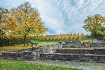Ausgrabungsstätte römischer Gutshof bei Lauffen am Neckar mit Grundmauern  und Überreste von Heizungs - und Badeeinrichtungen vor Weinreben und Baum mit Herbstlaub vor blauem Himmel mit Wolken 