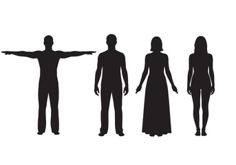 Vector art of set of human silhouette, perfect for anatomical studies and design projects