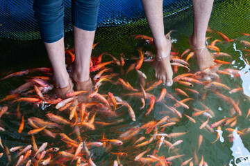 Fish spa feet pedicure skin care treatment 
