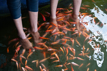 Fish spa feet pedicure skin care treatment 
