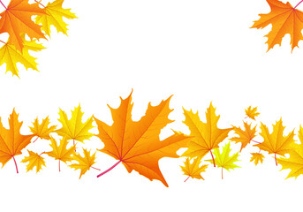 Vibrant autumn maple leaves in warm shades of orange and yellow scattered across a stark black background with a border effect