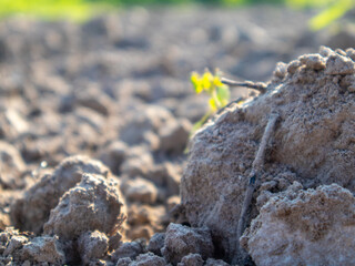 Soil Texture and Detail in a Rural Landscape