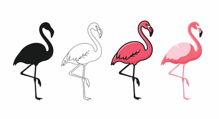 Obraz premium Vector art of set of flamingo illustrations in different styles, including silhouette, outline, pink, and light pink