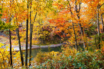 Obraz premium 秋の滝上町の風景