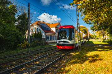 Tram on the old the autumn colourful park in Gdansk
