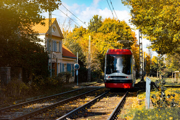Tram on the old the autumn colourful park in Gdansk
