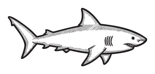 Fototapeta premium Hand-drawn black and white outline of a shark with detailed fin and gill features, emphasizing an oceanic theme.