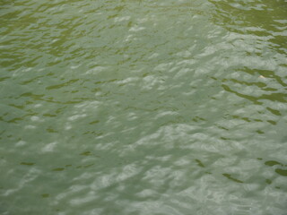 Green rippling water surface with natural movement and texture. Abstract close-up ideal for themes of nature, fluid dynamics, tranquility, environmental footage, or meditative visuals