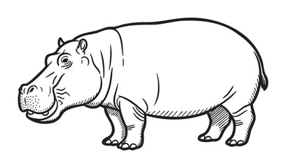 Obraz premium Black outline drawing of a standing hippopotamus, showcasing its large body and short legs with detailed features for animal and wildlife themes.