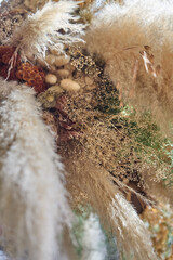 Beige pampas grass closeup with earthy decor
