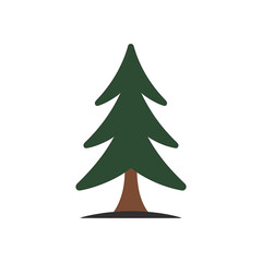 Pine tree icon vector on White Background ,Vector Art Illustration on white background.