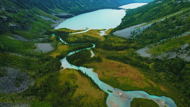 Aerial view meander of cold blue river of glaciers in green forest vegetation of delta from mountain Altai. Beautiful Landscape Multinskoye lake.