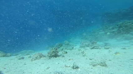 Underwater exploration reveals a serene environment filled with colorful coral formations and marine life. The camera captures the clear blue water and peaceful ocean floor.