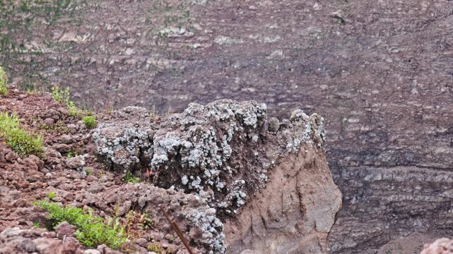 Wezuwiusz, wulkan i jego otoczenie - krater, skały, gleby, rośliny
