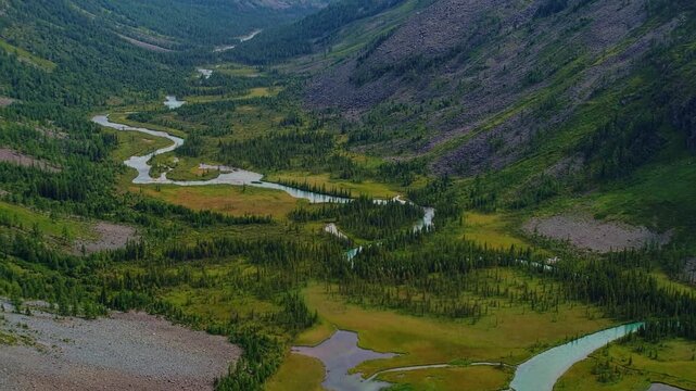 Aerial view of blue river meander in green forest vegetation of delta from mountain Altai. Beautiful Landscape Multinskoye lake..
