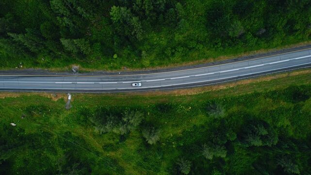 Concept nature landscape hike trip to mountain. Silence summer forest green trees and suv car is driving along road in rural Altai, aerial top view.