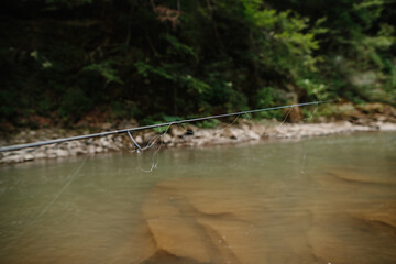 Fishing rod extending over river in lush forest awaits trout bite