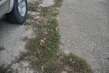 Car Tire in a Driveway