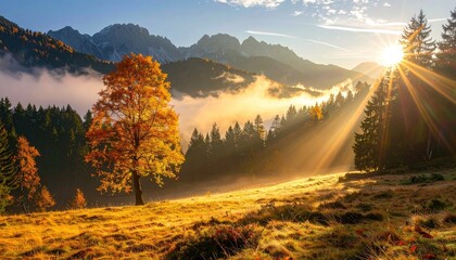 Golden Autumn Landscape Majestic Mountain Range Sunrise Mist Bathed in Warm Sunlight With Vibrant Orange Tree