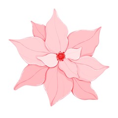 Pink  Poinsettia Flower Digital Clipart - Christmas Winter Holiday Floral Element Botanical Illustration