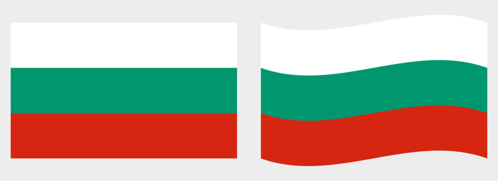 Bulgaria flag wave and flat vector Illustration
Vector flag