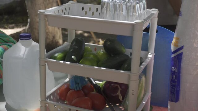 Estero san Blas Nayarit 02/12/2025