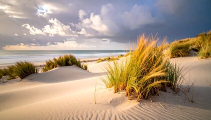 Scenic coastal view of a sandy beach with dunes and cloudy sky