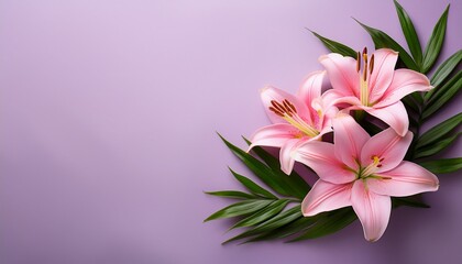 Obraz premium Pink Lilies And Green Leaves Arrangement On Light Purple Background