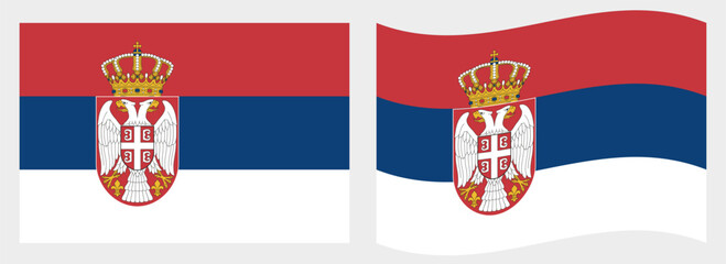 Serbia flag wave and flat vector Illustration
Vector flag