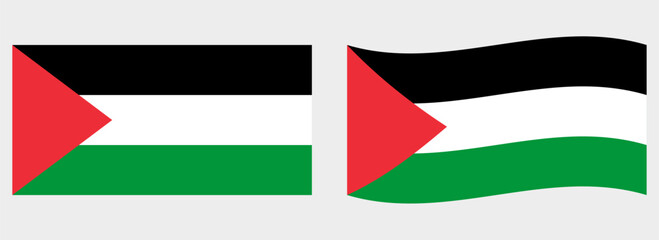 Palestine flag wave and flat vector Illustration
Vector flag