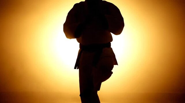 Dynamic Karate Silhouette: Powerful Martial Arts Training in Golden Light