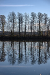 Obraz premium Nordic Stillness — Trees Reflected in Autumn River