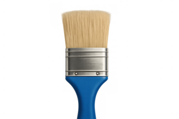 Paintbrush featuring a blue handle, metal ferrule, and natural bristles. Clean art or construction tool with copy space