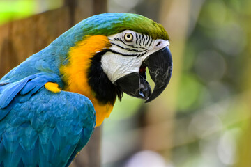 Hot Summer Day in a Southern USA Zoo