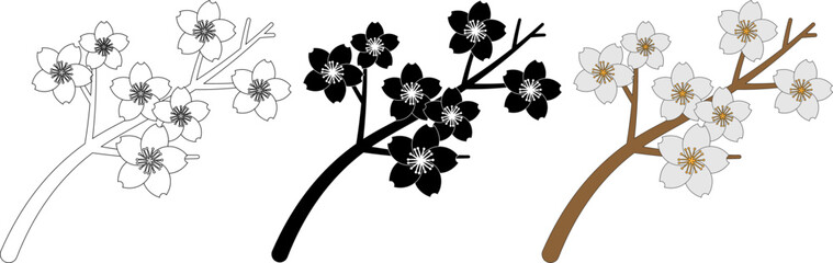 top view Sakura branch in bloom with flowers