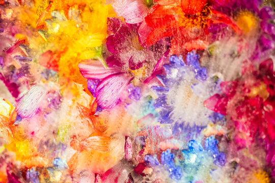 Bright colorful abstract art wallpaper with zinnia, cosmos and dahlia flowers