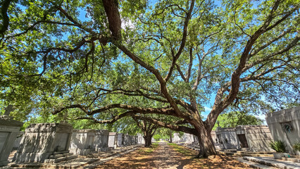 Metairie Cemetery in New Orleans, Louisiana on Memorial Day