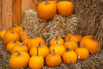 Kürbisse auf einem Strohballen