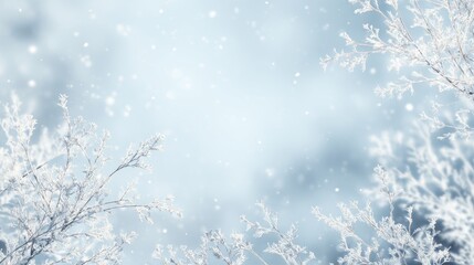 Snowy branches framing soft blue background with gentle falling snow, clean winter backdrop for seasonal greeting or nature design