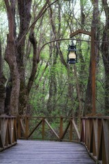 old wooden bridge