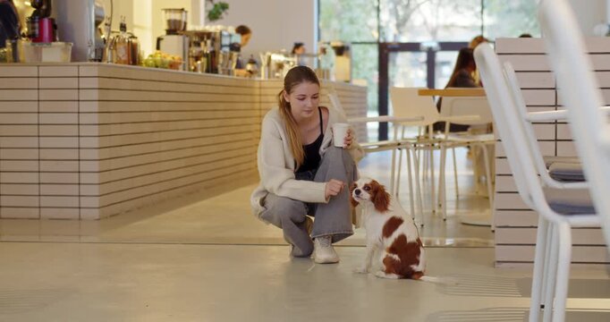Woman rewarding small dog during training in cafe
